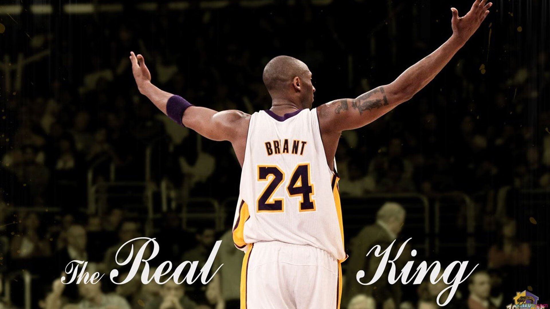 CBA球员心理素质培训强化比赛抗压能力,篮球运动员心理训练