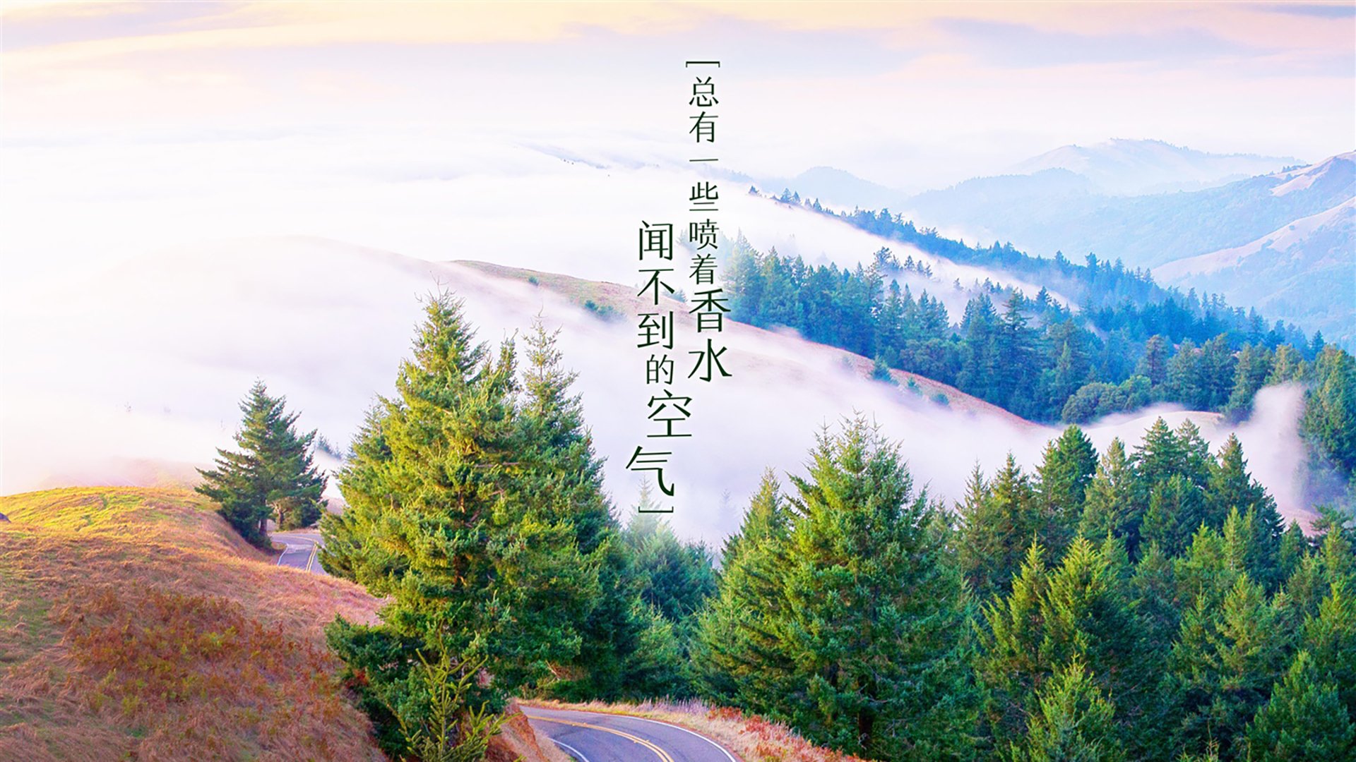 “青春之光”青少年篮球公益电影在全国院线上映,弘扬励志正能量